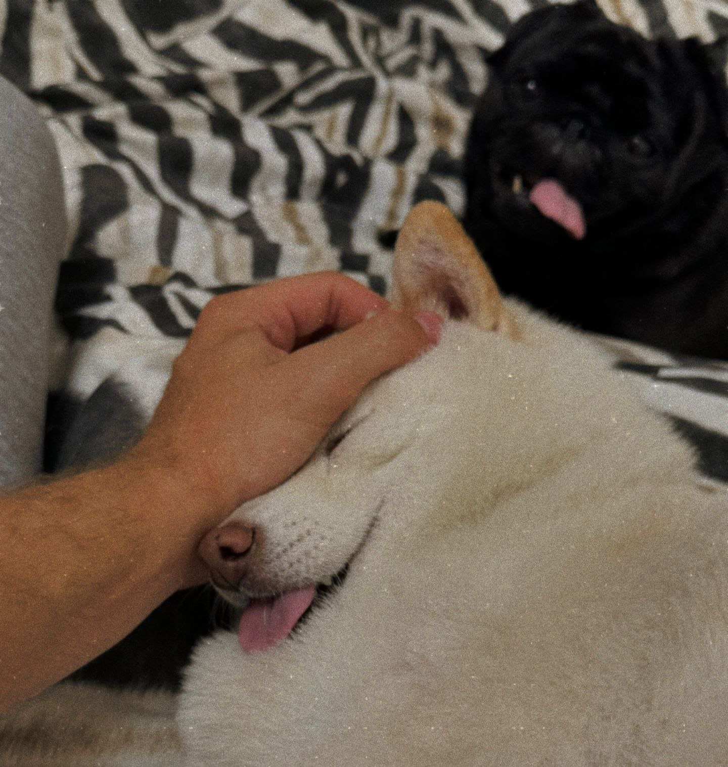 38-річна Астаф'єва вразила мережу чесним фото у купальнику: "Жіночна та вільна"